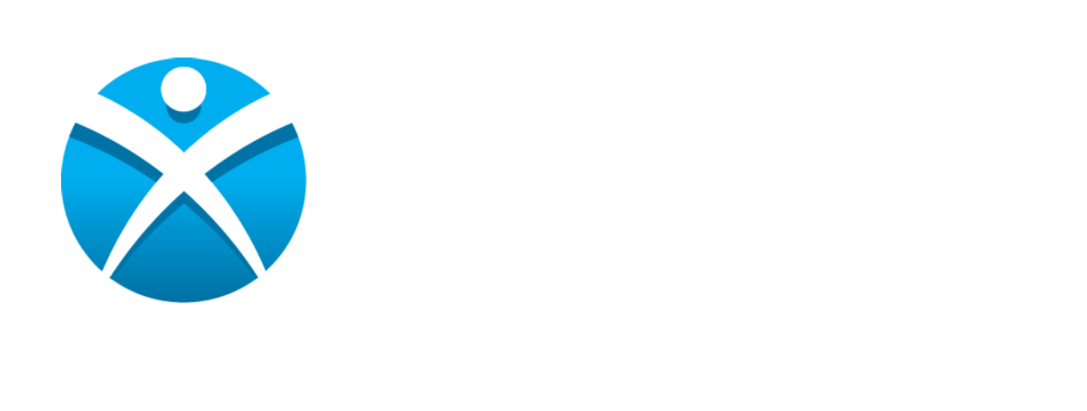 CEO Inc